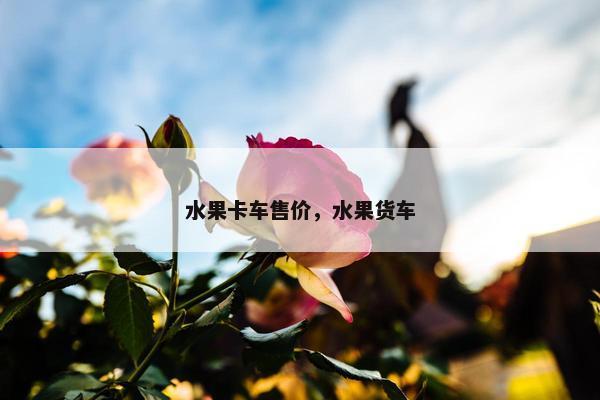 水果卡车售价，水果货车