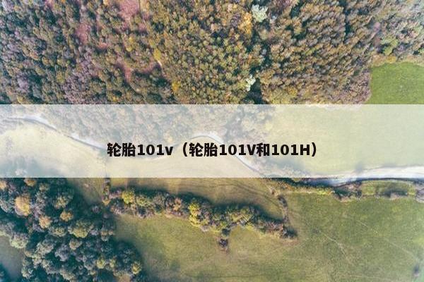轮胎101v（轮胎101V和101H）