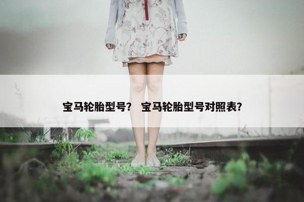 宝马轮胎型号？ 宝马轮胎型号对照表？