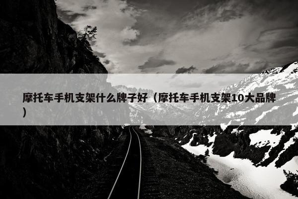摩托车手机支架什么牌子好（摩托车手机支架10大品牌）