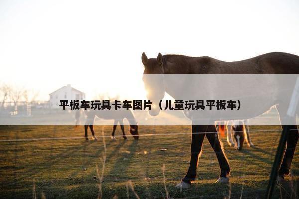 平板车玩具卡车图片（儿童玩具平板车）
