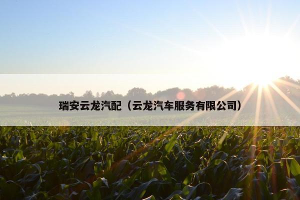 瑞安云龙汽配（云龙汽车服务有限公司）