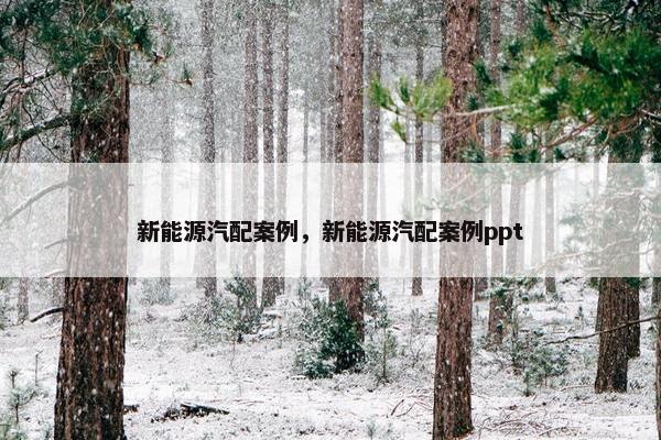 新能源汽配案例，新能源汽配案例ppt