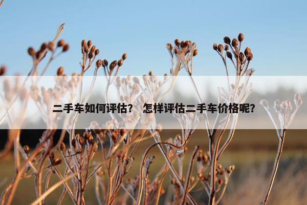 二手车如何评估？ 怎样评估二手车价格呢？