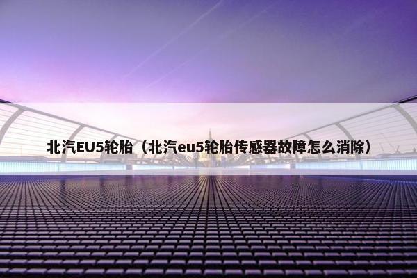 北汽EU5轮胎（北汽eu5轮胎传感器故障怎么消除）