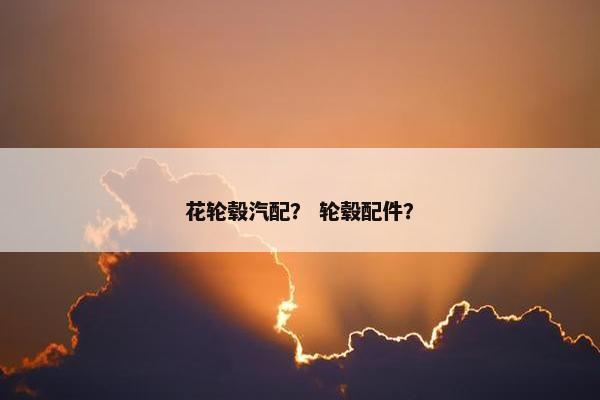 花轮毂汽配？ 轮毂配件？