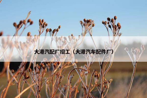 大港汽配厂招工（大港汽车配件厂）