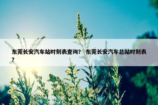 东莞长安汽车站时刻表查询？ 东莞长安汽车总站时刻表？