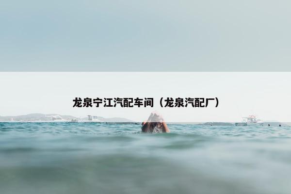 龙泉宁江汽配车间（龙泉汽配厂）