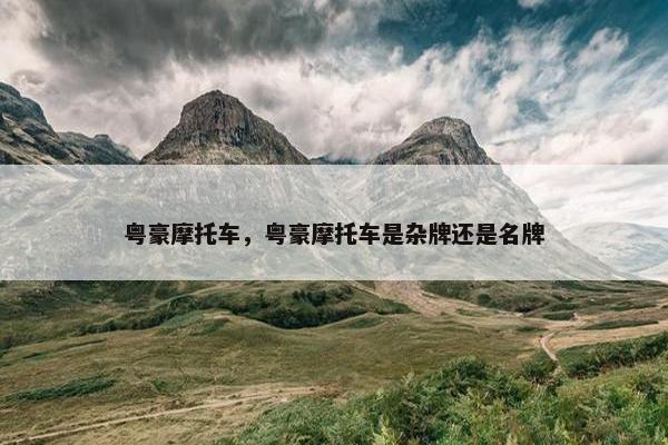 粤豪摩托车，粤豪摩托车是杂牌还是名牌
