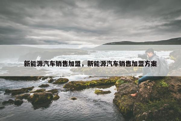 新能源汽车销售加盟，新能源汽车销售加盟方案
