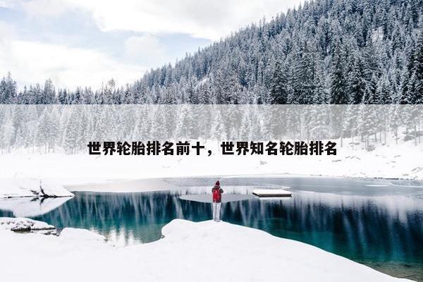 世界轮胎排名前十，世界知名轮胎排名