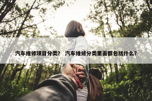 汽车维修项目分类？ 汽车维修分类里面都包括什么？