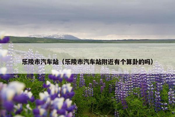 乐陵市汽车站（乐陵市汽车站附近有个算卦的吗）