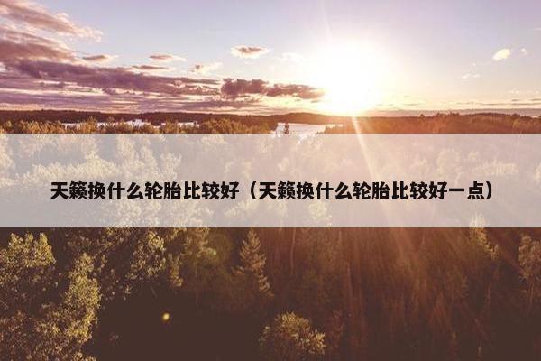 天籁换什么轮胎比较好（天籁换什么轮胎比较好一点）