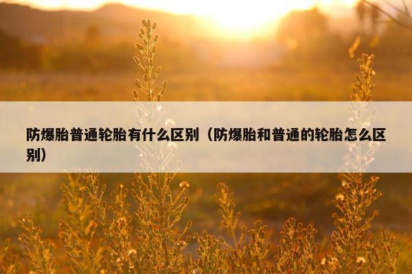 防爆胎普通轮胎有什么区别（防爆胎和普通的轮胎怎么区别）