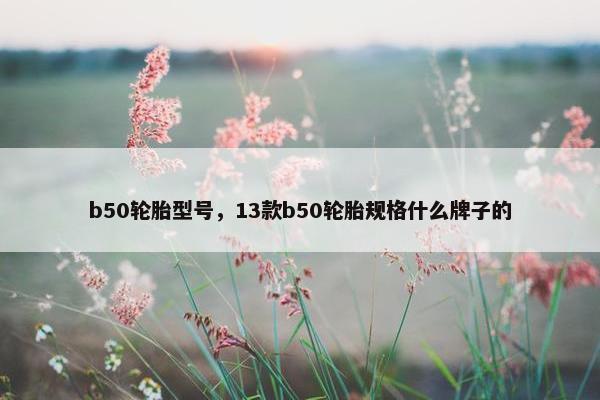 b50轮胎型号，13款b50轮胎规格什么牌子的