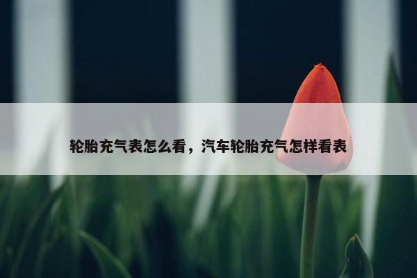 轮胎充气表怎么看，汽车轮胎充气怎样看表