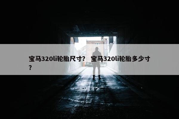 宝马320li轮胎尺寸？ 宝马320li轮胎多少寸？