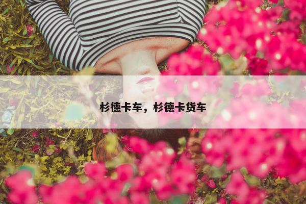 杉德卡车，杉德卡货车