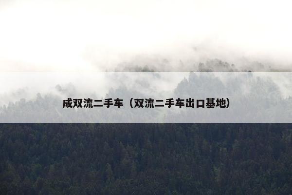 成双流二手车（双流二手车出口基地）