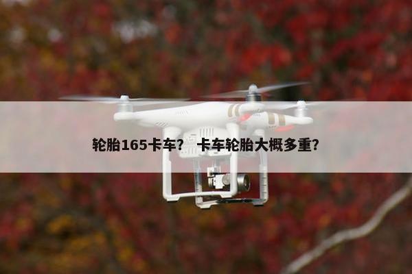 轮胎165卡车？ 卡车轮胎大概多重？