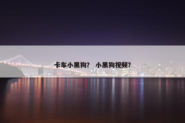 卡车小黑狗？ 小黑狗视频？