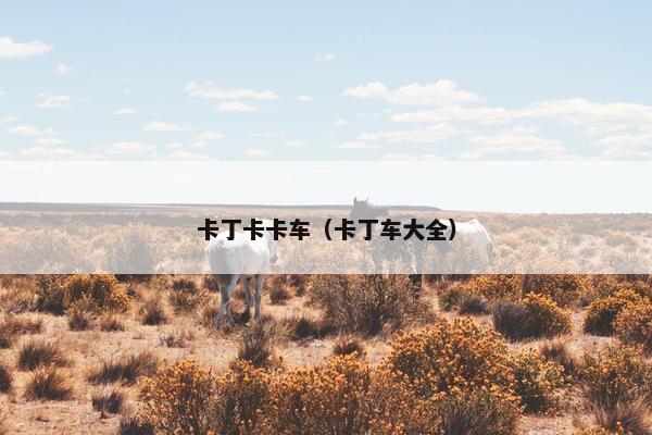 卡丁卡卡车（卡丁车大全）