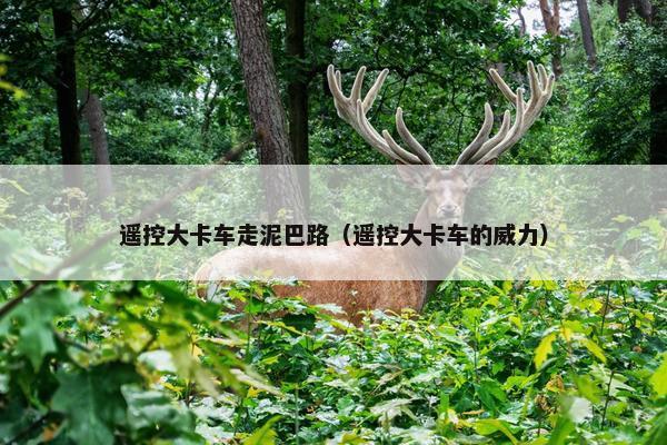遥控大卡车走泥巴路（遥控大卡车的威力）