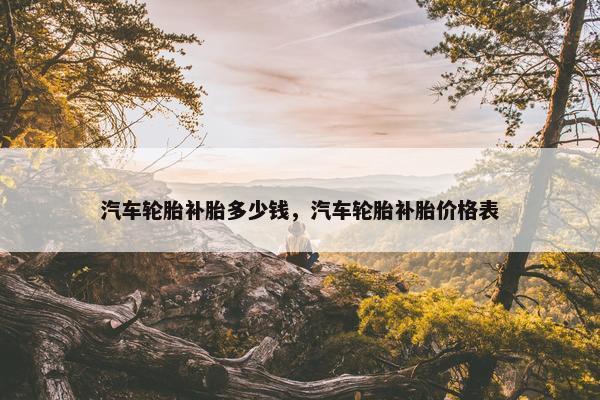 汽车轮胎补胎多少钱，汽车轮胎补胎价格表
