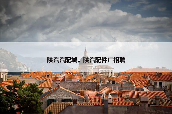 陕汽汽配城，陕汽配件厂招聘