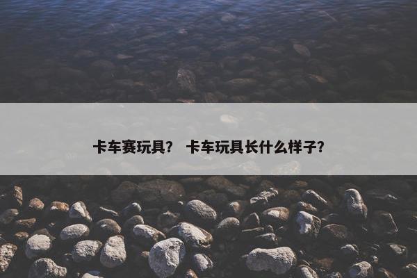 卡车赛玩具？ 卡车玩具长什么样子？