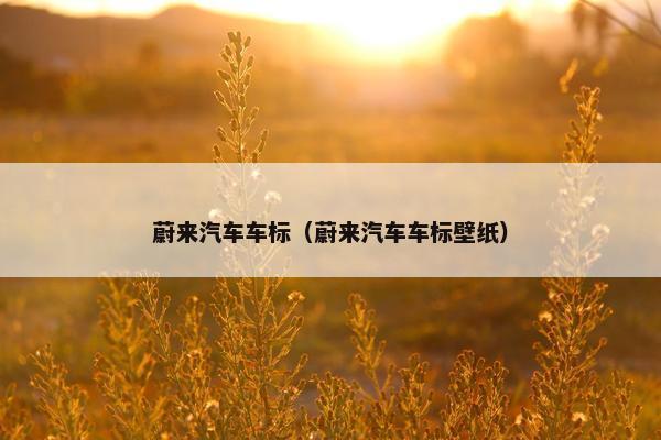 蔚来汽车车标（蔚来汽车车标壁纸）