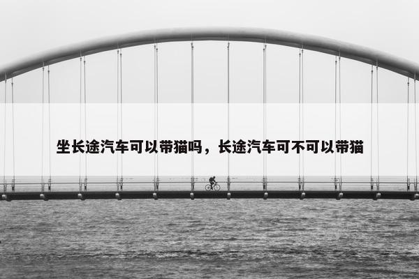 坐长途汽车可以带猫吗，长途汽车可不可以带猫