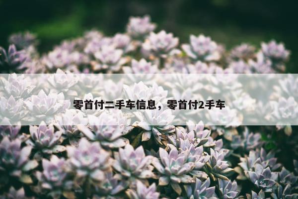零首付二手车信息，零首付2手车