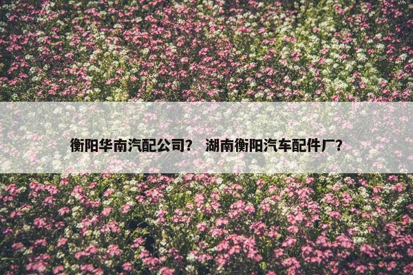 衡阳华南汽配公司？ 湖南衡阳汽车配件厂？