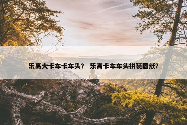 乐高大卡车卡车头？ 乐高卡车车头拼装图纸？