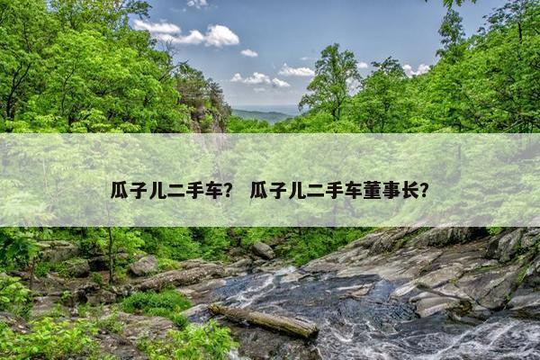 瓜子儿二手车？ 瓜子儿二手车董事长？