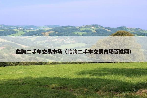临朐二手车交易市场（临朐二手车交易市场百姓网）