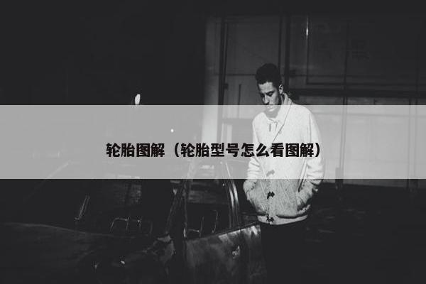 轮胎图解（轮胎型号怎么看图解）