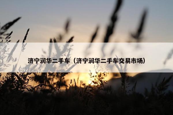 济宁润华二手车（济宁润华二手车交易市场）