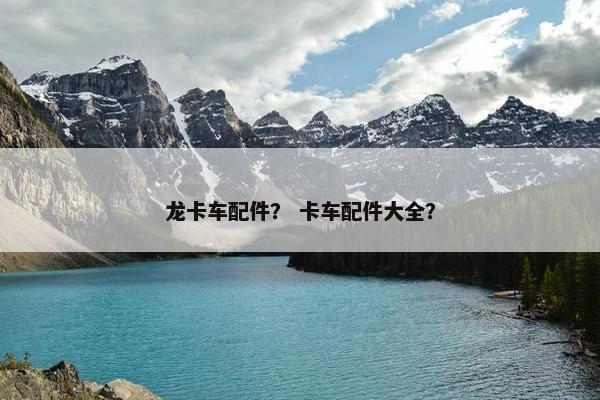 龙卡车配件？ 卡车配件大全？