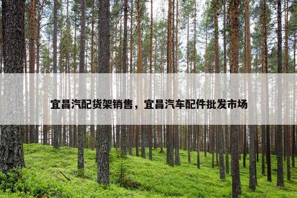 宜昌汽配货架销售，宜昌汽车配件批发市场
