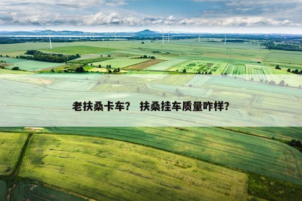 老扶桑卡车？ 扶桑挂车质量咋样？