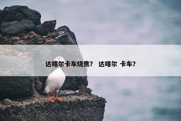 达喀尔卡车烧焦？ 达喀尔 卡车？