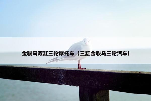 金骏马双缸三轮摩托车（三缸金骏马三轮汽车）