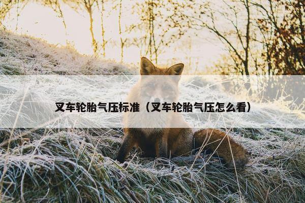 叉车轮胎气压标准（叉车轮胎气压怎么看）