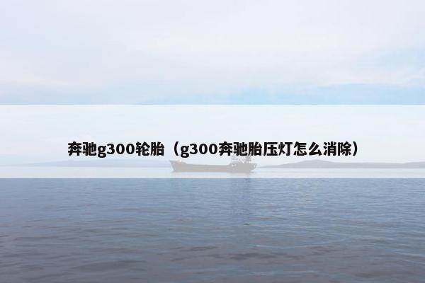 奔驰g300轮胎（g300奔驰胎压灯怎么消除）