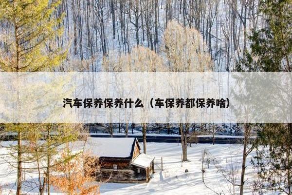 汽车保养保养什么（车保养都保养啥）