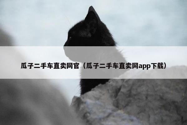 瓜子二手车直卖网官（瓜子二手车直卖网app下载）